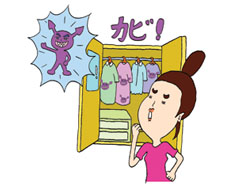 室内に生えたカビの掃除方法を教えてください。イメージ